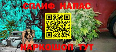 сатива Малгобек