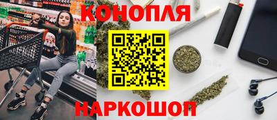 сатива Малгобек