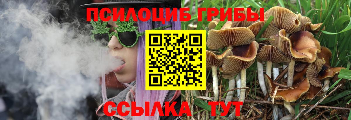 Электрогорск  Псилоцибиновые грибы ЛСД  Вход с VPN  Галлюциногенные грибы мицелий 